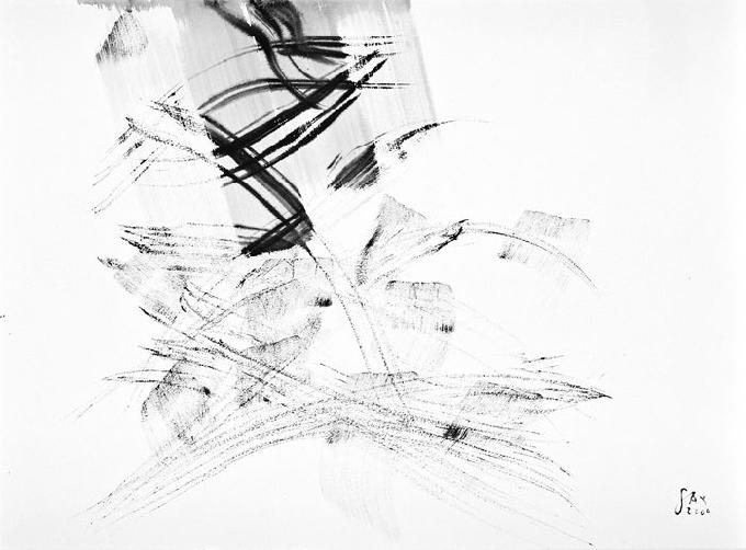 4-2000 trempant 57x76 chf 2400.jpg